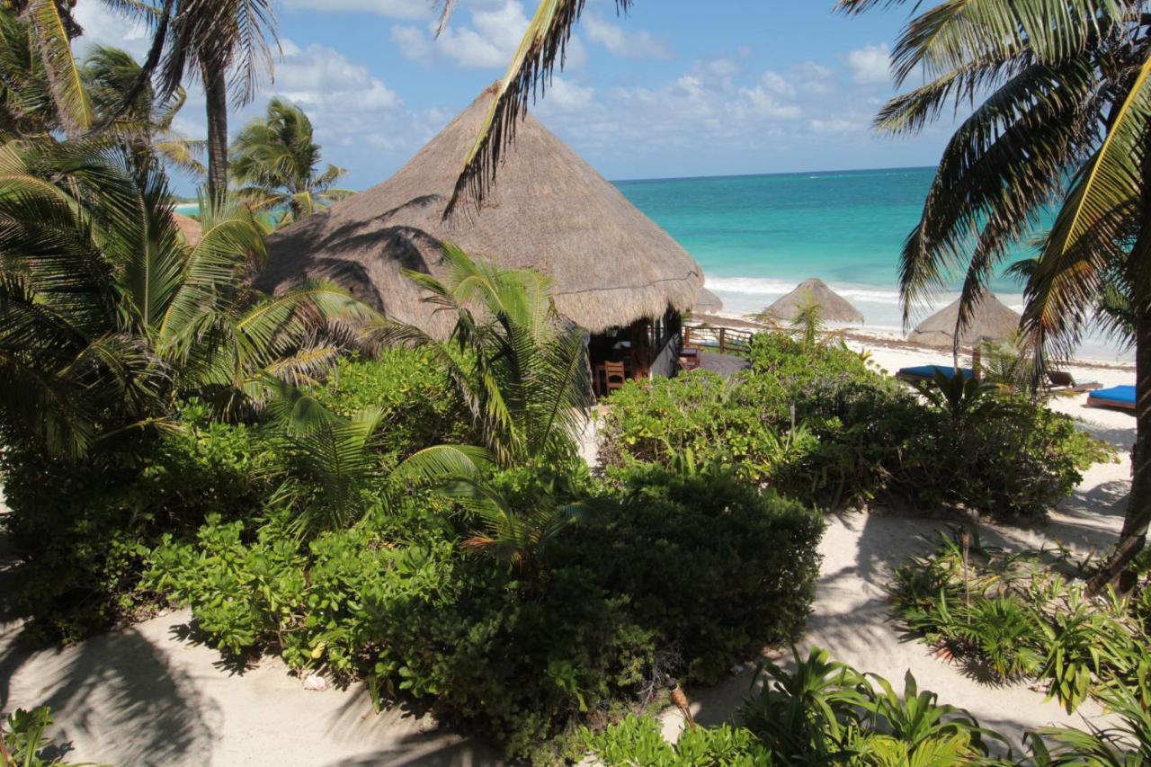 Отель Sol Caribe Пунта-Альен Экстерьер фото