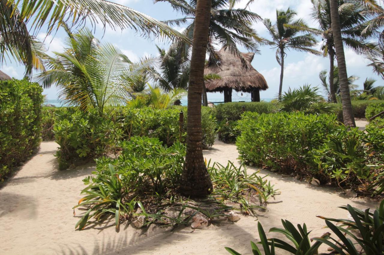 Отель Sol Caribe Пунта-Альен Экстерьер фото