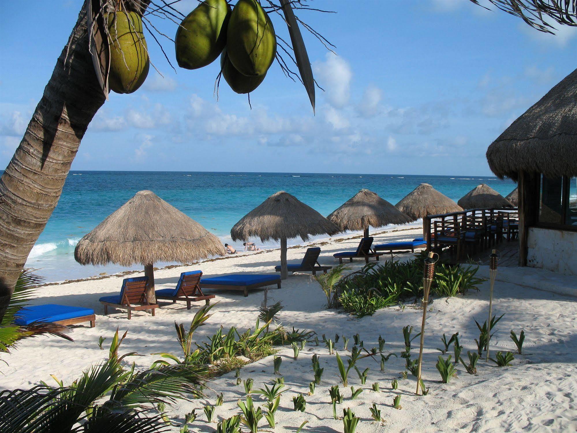 Отель Sol Caribe Пунта-Альен Экстерьер фото
