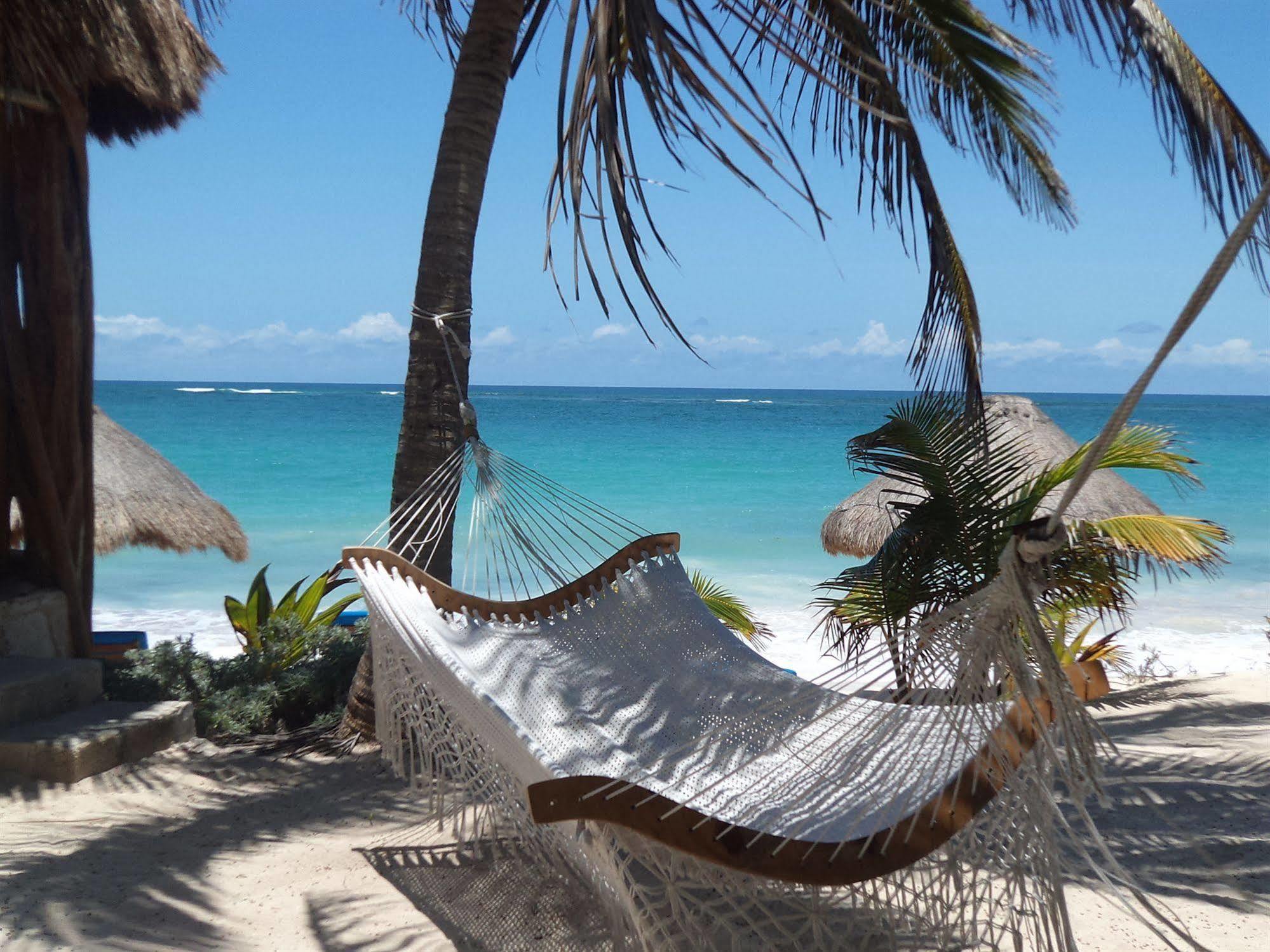 Отель Sol Caribe Пунта-Альен Экстерьер фото
